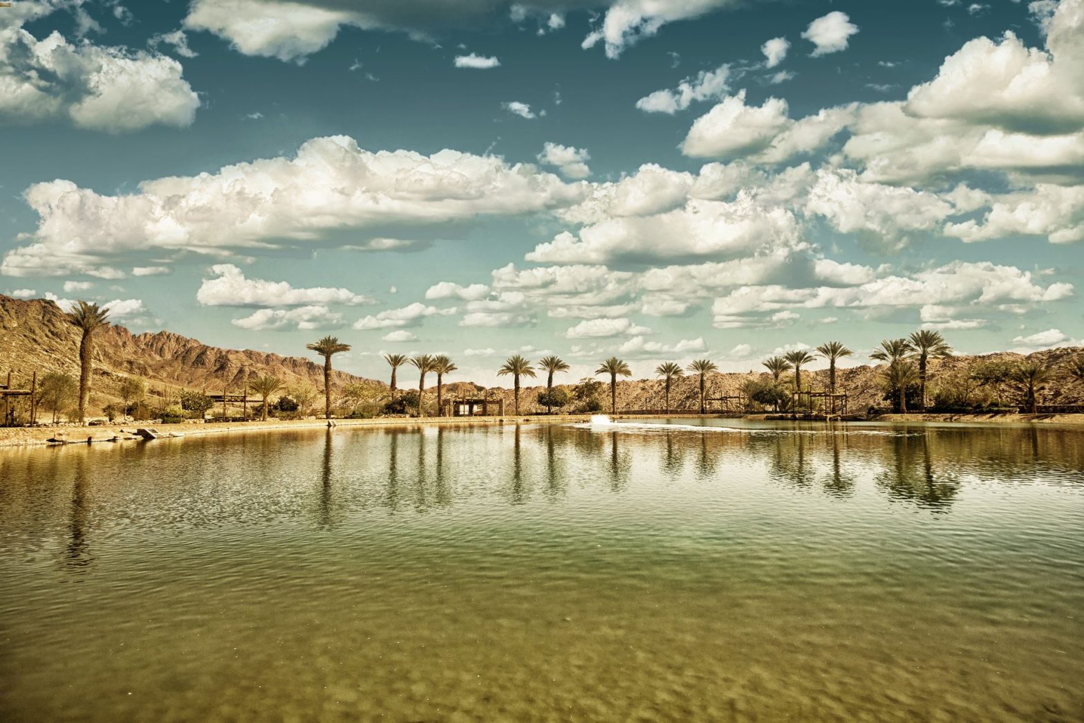 Palm trees reflecting in desert lake